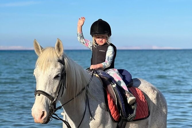 Horse riding Adventure on the Sea with Transfer in Hurghada - Quick hits: why this Hurghada horse-and-sea ride works