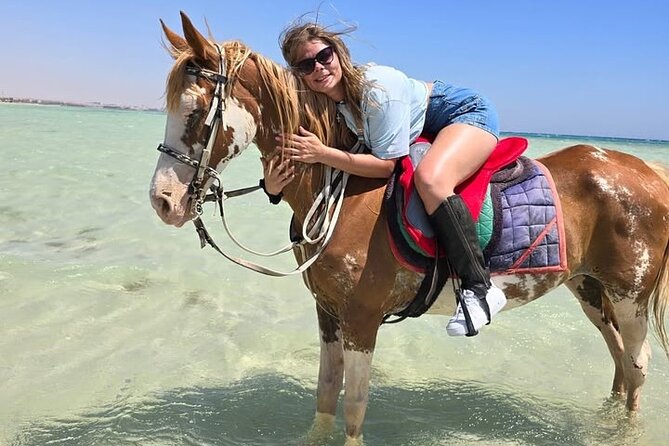 Horse riding Adventure on the Sea with Transfer in Hurghada - Hotel pickup and getting to the start without stress
