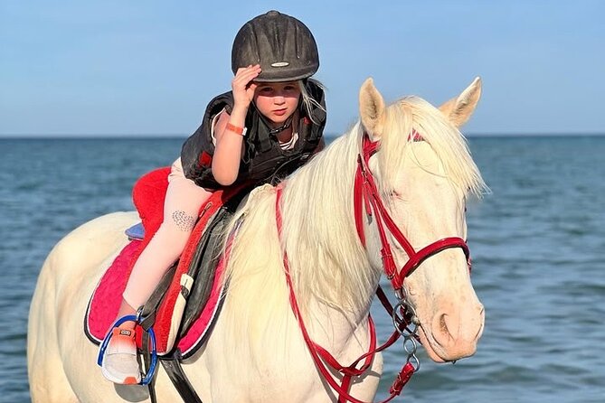 Horse riding Adventure on the Sea with Transfer in Hurghada - Riding the beach: what it’s like from the saddle