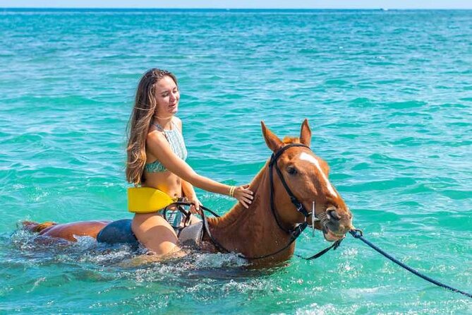 Horse Riding Beach or Desert with transfer from Sharm El Sheikh - Pickup, Horses, and What the 2 Hours Actually Does