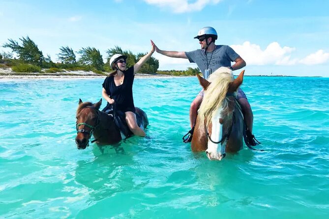 Horse Riding on Hurghada Desert and Beach - Safety and trainer support: what you’re paying for besides the horse
