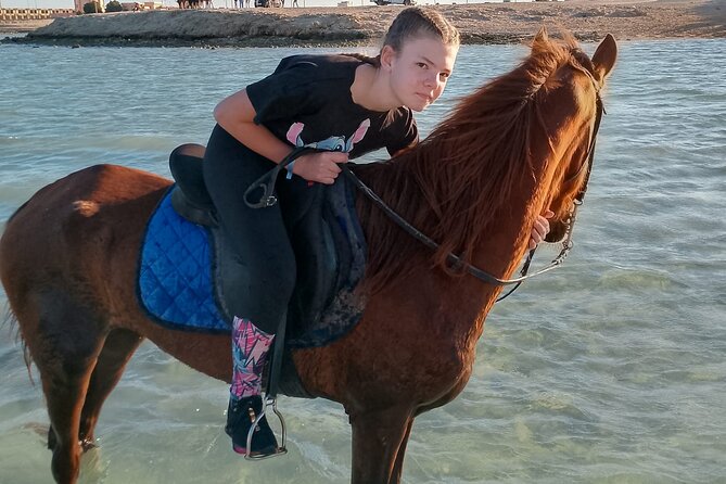 Horse Riding on the Beach And Desert 3 hours From Hurghada - Key Points Before You Go