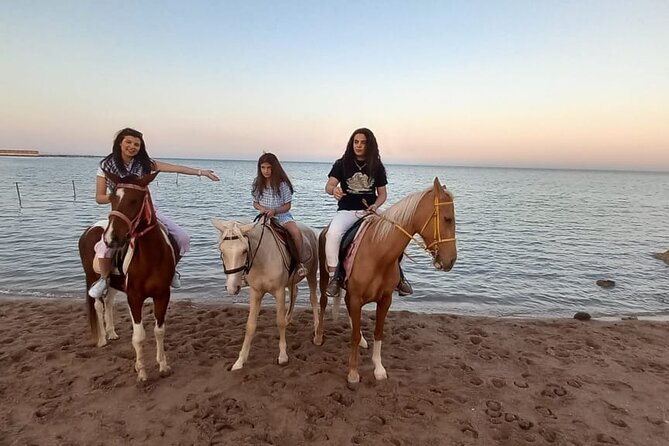 Horse Riding on the Beach And Desert 3 hours From Hurghada - The Desert Section: Dunes, Breathing Space, and Real Riding Time