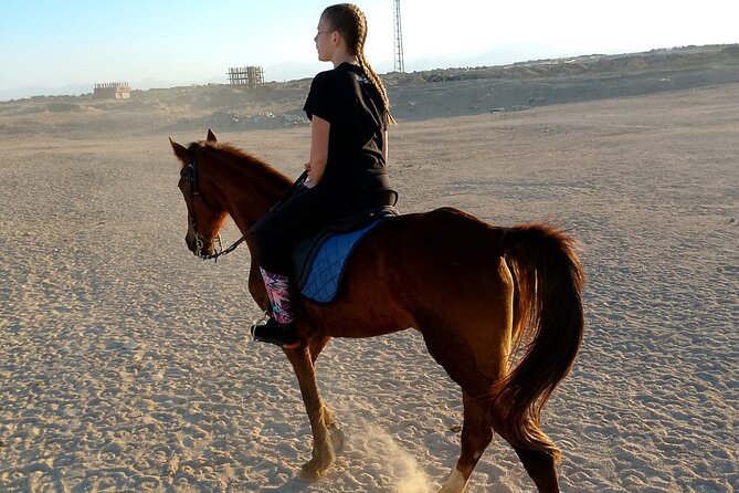Horse Riding on the Beach And Desert 3 hours From Hurghada - The Beach and Sea Moment: Swimming With Horses (and Photo Timing)