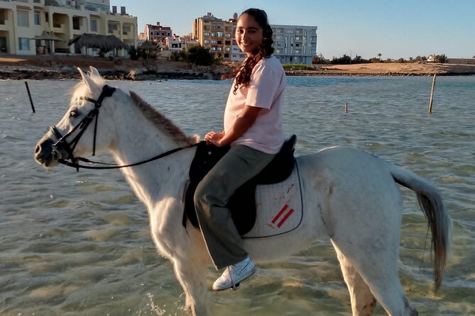 Horse Riding on the Beach And Desert 3 hours From Hurghada - Price and Value: Is $23 a Smart Buy?