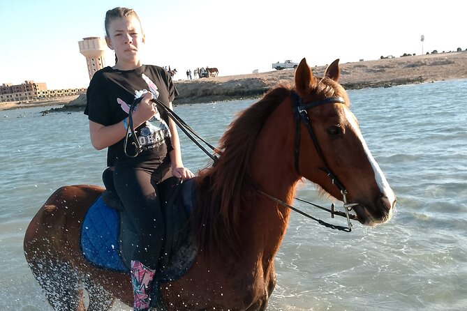 Horse Riding on the Beach And Desert 3 hours From Hurghada - Transfers, Timing, and How to Avoid Extra Fees