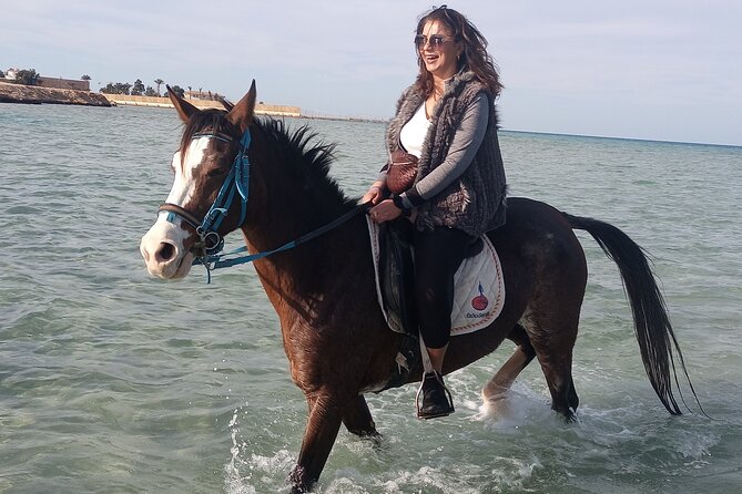 Horse Riding on the Beach And Desert 3 hours From Hurghada - What Happens During the 4-Hour Program (3 Hours Riding)