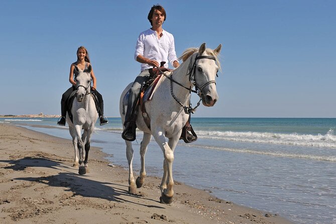 Horse Riding on the beach With Transfer From Sharm El Sheikh - Hotel Pickup and the Briefing That Sets Expectations Right