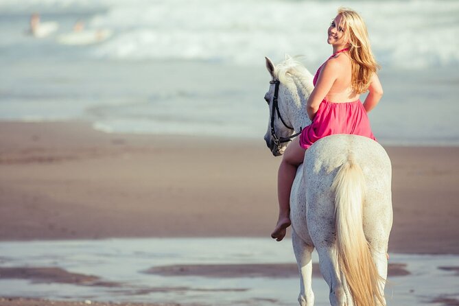 Horse Riding on the beach With Transfer From Sharm El Sheikh - The Horses, Helmets, and Safety Checks Worth Doing