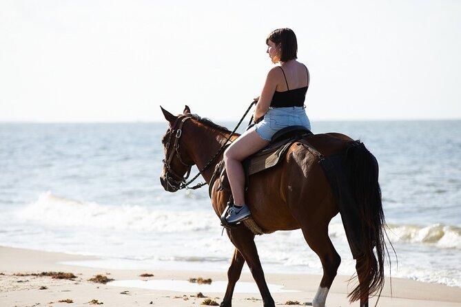 Horse Riding on the beach With Transfer From Sharm El Sheikh - Guided Riding That Actually Teaches: Ahmad, Islam, and Eslam