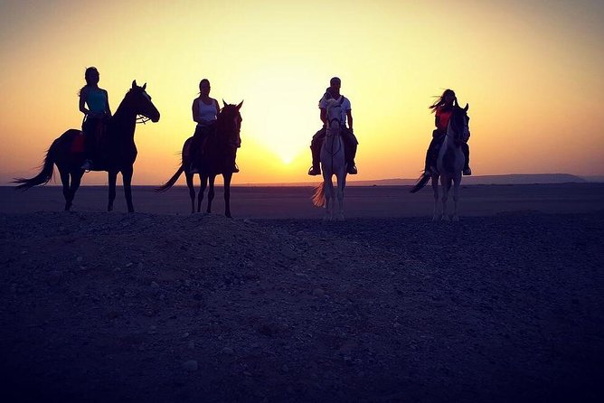 Horse Riding One Hour at Desert With Transfer - Sharm El Sheikh - Key Things to Know Before You Go