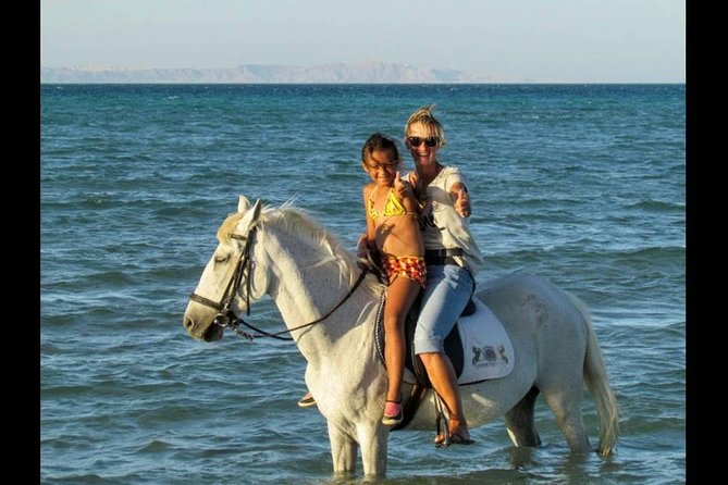 Horse Riding One Hour at Desert With Transfer - Sharm El Sheikh - Getting Your Horse and the Helmet Check