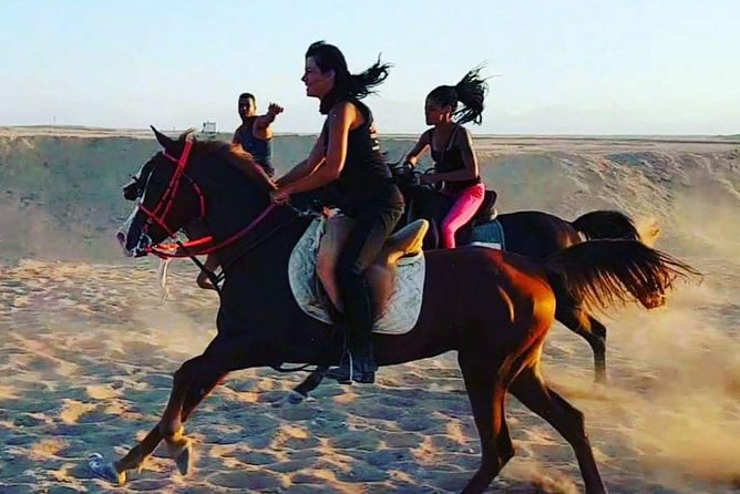 Horse Riding One Hour at Desert With Transfer - Sharm El Sheikh - Best Time to Ride: Morning vs. Afternoon Feel