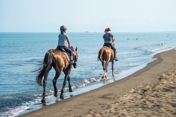 Horse Riding & Swimming Experience in the Sea & Desert - Hurghada - Key highlights