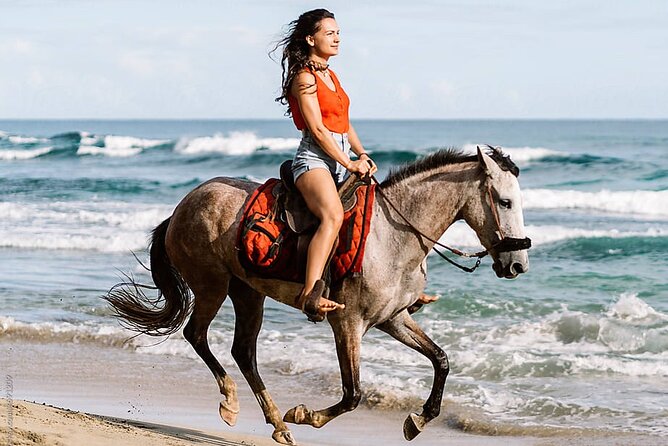 Horse Riding & Swimming Experience in the Sea & Desert - Hurghada - How the 4-hour schedule feels on a real day
