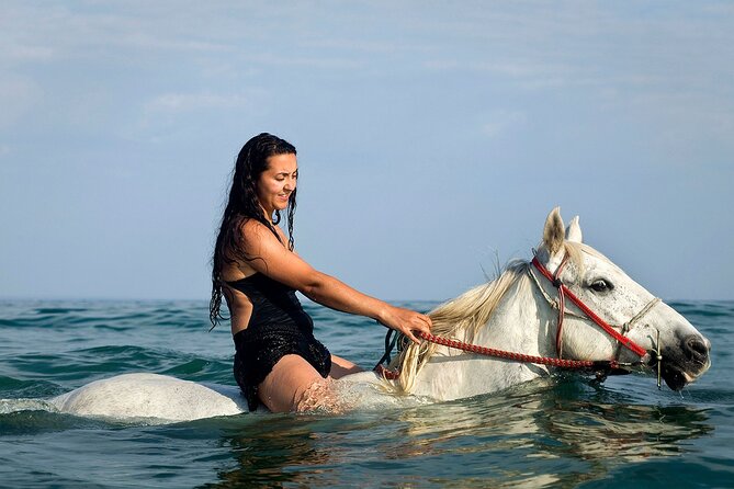 Horse Riding & Swimming Experience in the Sea & Desert - Hurghada - Horse riding on the beach: coastal time that doesn’t drag