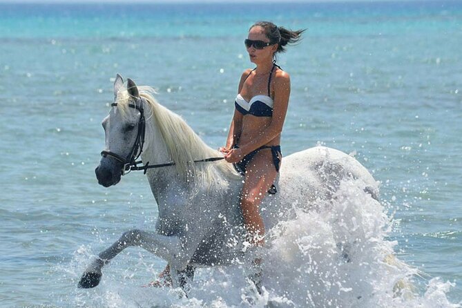 Horse Riding & Swimming Experience in the Sea & Desert - Hurghada - Pickup and group size: easier than you’d think
