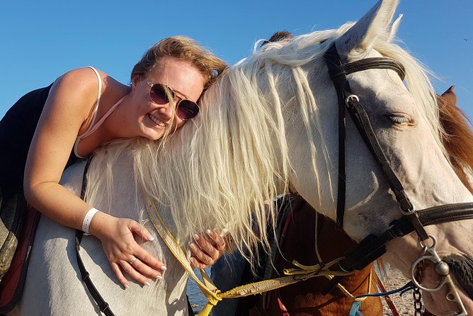 Horse Riding Tour 2 Hours on Sea And Desert & Transfer -Hurghada - Key highlights I’d circle first