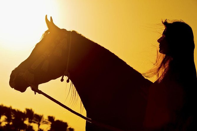 Horse Riding Tour 2 Hours on Sea And Desert & Transfer -Hurghada - Desert hour on horseback: feeling the scale without the long walk