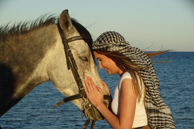 Horse Riding Tour 2 Hours on Sea And Desert & Transfer -Hurghada - Price and logistics: why $14 is the headline, but what to budget