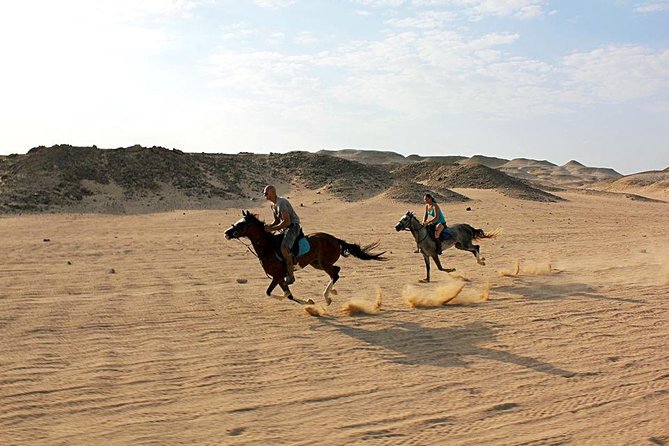 Horse Riding Tour 2 Hours on Sea And Desert & Transfer -Hurghada - Horse welfare: what you can check without being confrontational