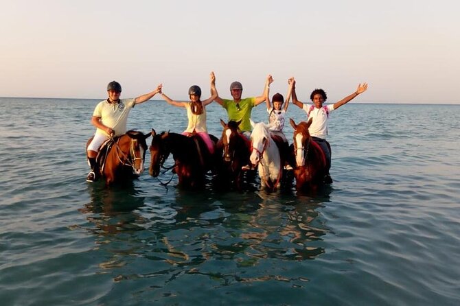 Horse Riding Tour 2 Hours on Sea And Desert & Transfer -Hurghada - Meeting the horses: helmets, coaching, and how the trainer keeps things steady