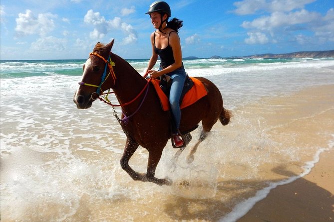 Horse Riding Tour 2 Hours Sea And Desert with Transfer - Hurghada - Hurghada Sea-and-Desert Horse Riding: What 2 Hours Really Means