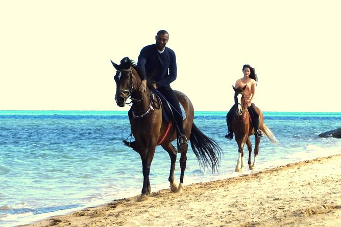 Horse Riding Tour 2 Hours Sea And Desert with Transfer - Hurghada - Animal Care, Horse Condition, and Guide Conduct: A Reality Check