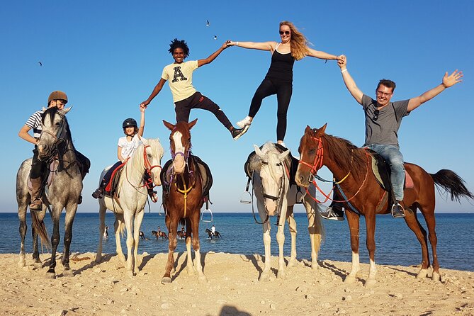 Horse Riding Tour 2 Hours Sea And Desert with Transfer - Hurghada - Who This Tour Fits Best (and Who Should Rethink It)