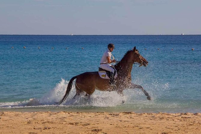 Horse Riding Tour 2 Hours Sea And Desert with Transfer - Hurghada - Should You Book This Sea and Desert Ride with Transfer?