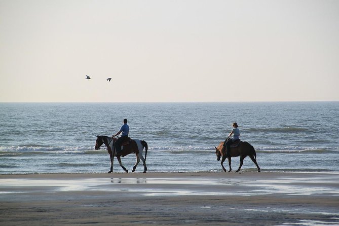Horse Riding Tour 2 Hours Sea And Desert with Transfer - Hurghada - Pickup, Helmet, and Coaching: Feeling Safe Before You Mount