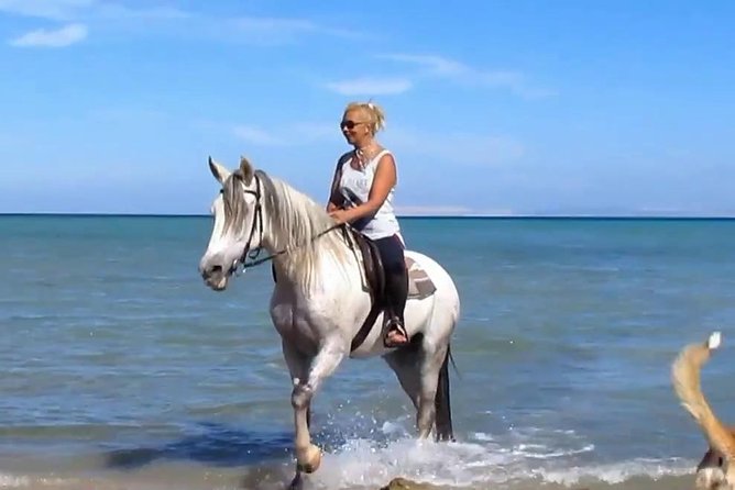 Horse Riding Tour Two Hours Sun & Sea With Transfer - Hurghada - Key things I’d put on your shortlist