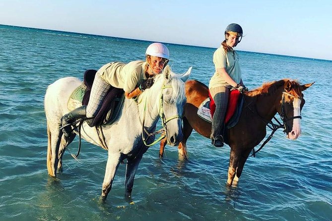 Horse Riding Tour Two Hours Sun & Sea With Transfer - Hurghada - Into the Red Sea (1 hour): what riding on water feels like
