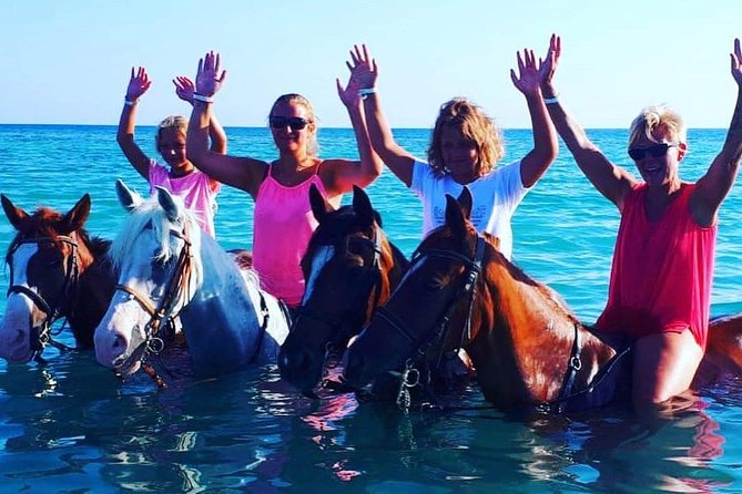 Horse Riding Tour Two Hours Sun & Sea With Transfer - Hurghada - Coffee, photos, and small moments that make the hour pass fast