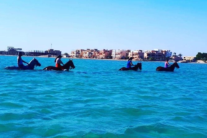 Horse Riding Tour Two Hours Sun & Sea With Transfer - Hurghada - Safety and control: helmet time isn’t just a checkbox