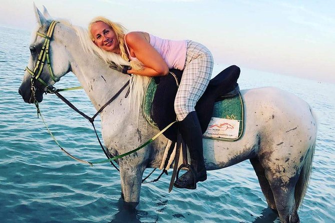 Horse Riding Tour Two Hours Sun & Sea With Transfer - Hurghada - Price and logistics: what $15 covers, and what costs extra