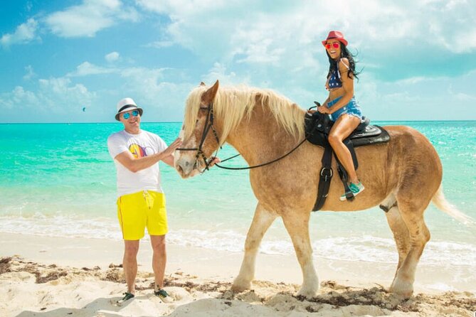 Horseback Riding with Pickup and Drop-off from Sharm El Sheikh - The Desert Stretch: A Different Feel Without a Full Trek