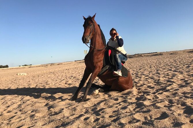 Horseback Riding with Pickup and Drop-off from Sharm El Sheikh - Comfort Tips for a Hot Red Sea Morning