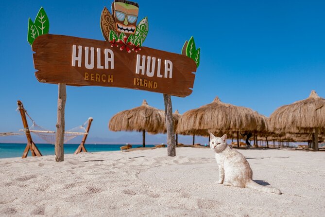 Hula Hula Island Snorkeling Sea Trip and Water Sport - Hurghada - Quick Key Points