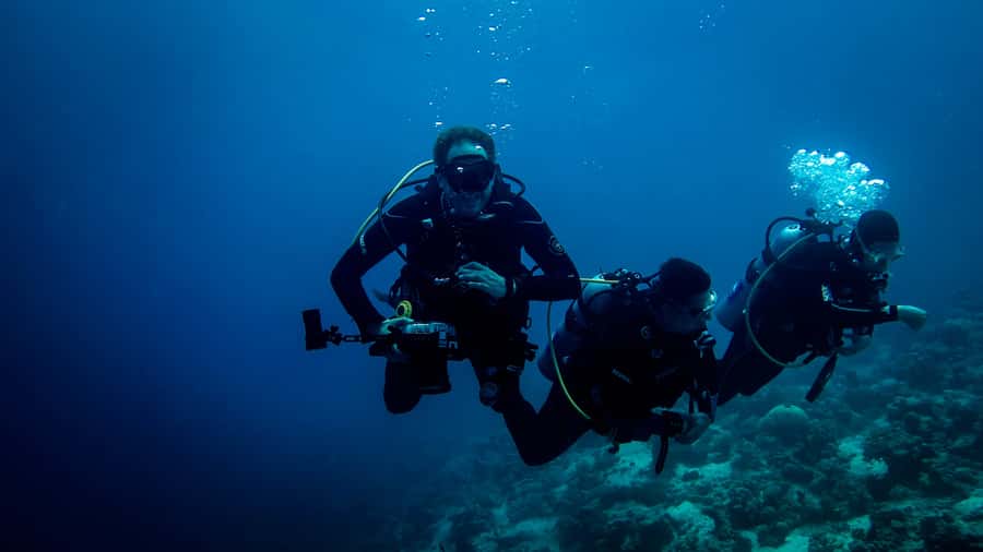 Hurghada: 1, 2, 3, 4, or, 5-Day Scuba Diving Package - How the Underwater Sessions Are Built Around You