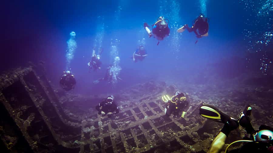Hurghada: 1, 2, 3, 4, or, 5-Day Scuba Diving Package - What You’ll See: Corals, Reefs, and Tropical Life