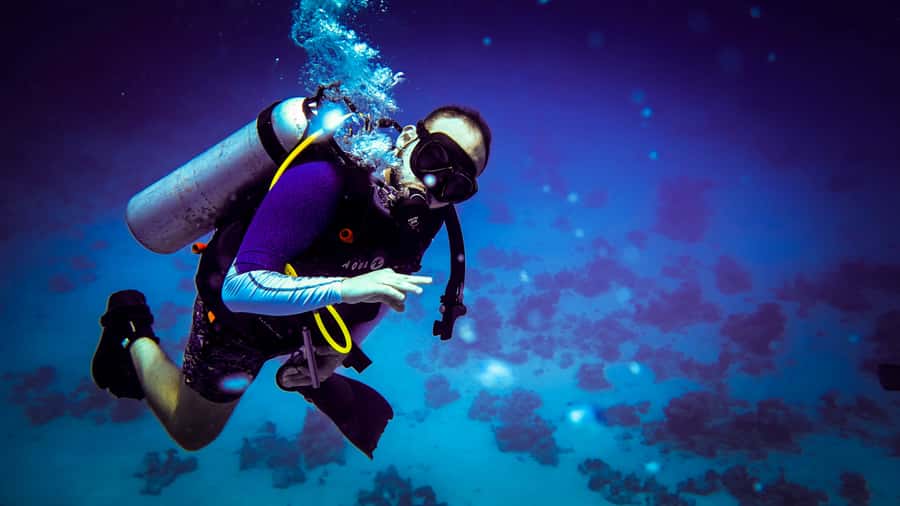 Hurghada: 1, 2, 3, 4, or, 5-Day Scuba Diving Package - Equipment and Extra Fees: The Part to Check Before You Go
