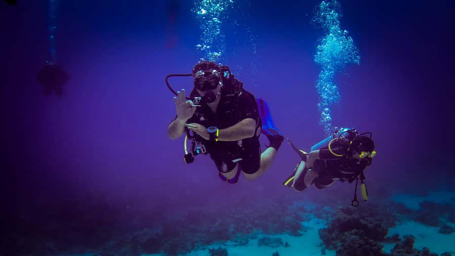 Hurghada: 1, 2, 3, 4, or, 5-Day Scuba Diving Package - Safety, Health Limits, and Who Should Skip This One