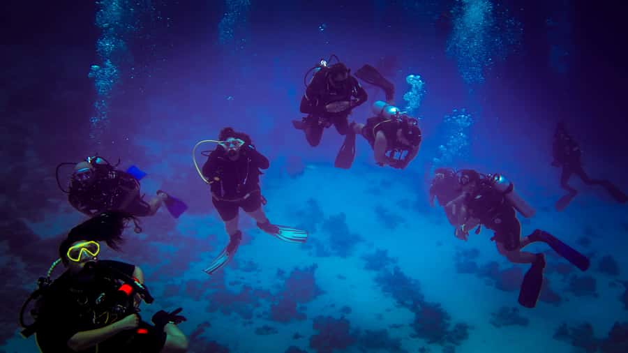 Hurghada: 1, 2, 3, 4, or, 5-Day Scuba Diving Package - Intro Option: A Beginner-Friendly Entry Point