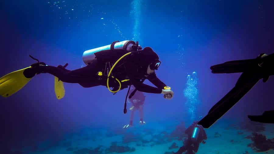 Hurghada: 1, 2, 3, 4, or, 5-Day Scuba Diving Package - Hotel Pickup and Getting Sorted at The Pure Coastal