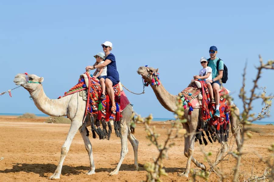 Hurghada: 1-Hour Desert & Beach Camel Ride with Transfers - Key things to know before you go