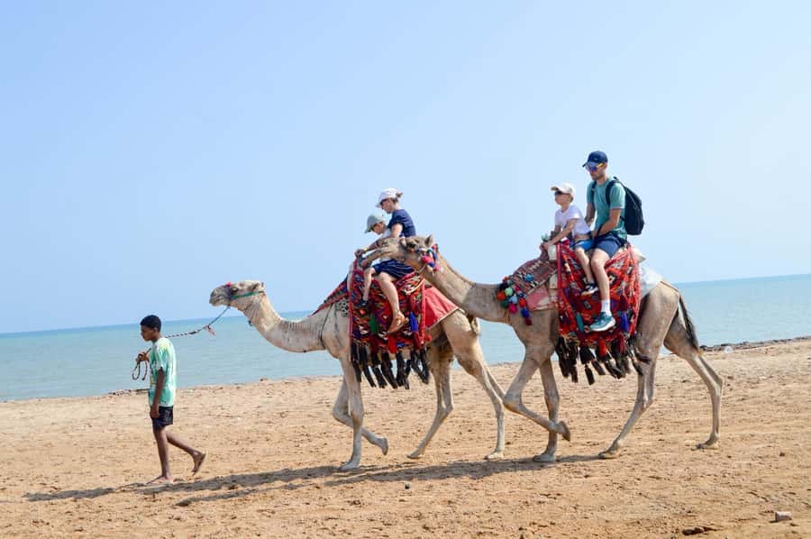 Hurghada: 1-Hour Desert & Beach Camel Ride with Transfers - Lucky Horses Stable: the calm start that makes this work