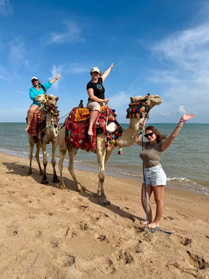 Hurghada: 1-Hour Desert & Beach Camel Ride with Transfers - Transfers and timing from Hurghada city: how to plan your day