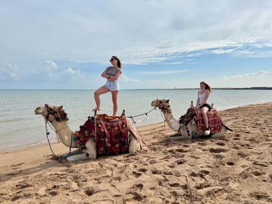 Hurghada: 1-Hour Desert & Beach Camel Ride with Transfers - Safety and comfort: who this fits well, and who should rethink it