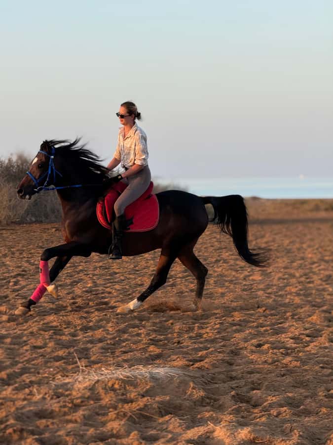 Hurghada: 1-Hour Desert & Beach Camel Ride with Transfers - Price and value: does $39 make sense for Hurghada?